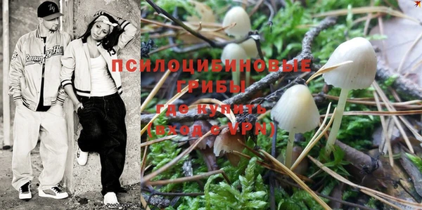 PSILOCYBIN Киренск