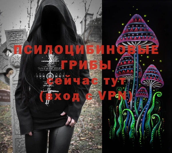 PSILOCYBIN Киренск