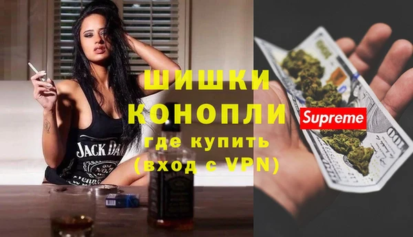 PSILOCYBIN Киренск