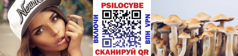 Купить  Дмитриев  Галлюциногенные грибы Psilocybe 