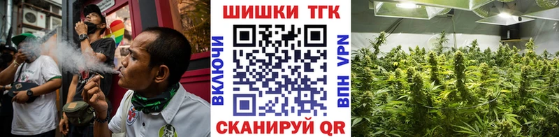 Бошки марихуана ГИДРОПОН  Купить где  Дмитриев 